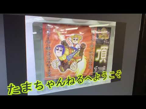 【バグ】デュエルマスターズのオリパガチャの闇を暴いてみた！