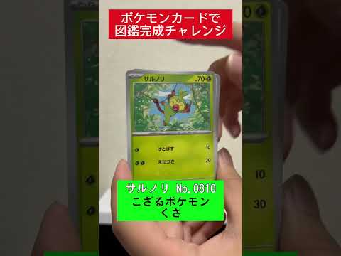ポケカ図鑑完成チャレンジ572日目   カード  開封  開封