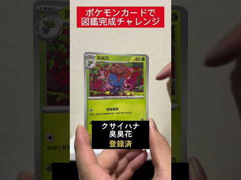 ポケカ図鑑完成チャレンジ557日目   カード  開封  開封