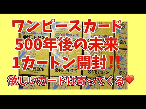 【ワンピカード】ワンピースカード1カートン開封！500年後の未来！あの子とは縁がある⁉️新弾発売日開封‼️
