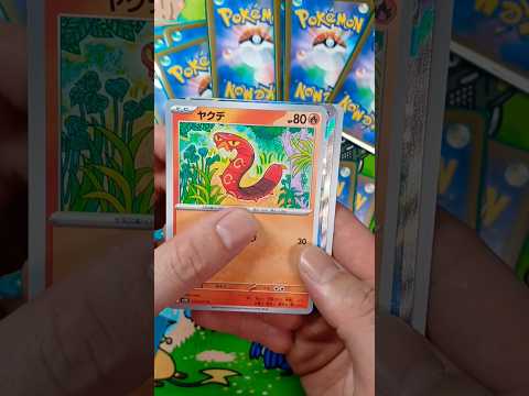 ポケモンカードオリパ開封‼️31日目