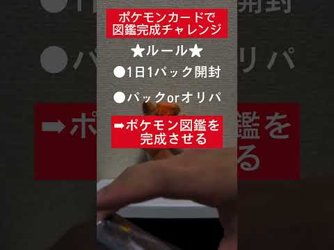 ポケカ図鑑完成チャレンジ575日目   カード  開封  開封