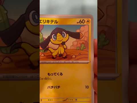 モーニングコーヒーとポケカ