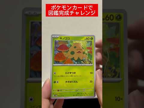ポケカ図鑑完成チャレンジ522日目   カード  開封  開封