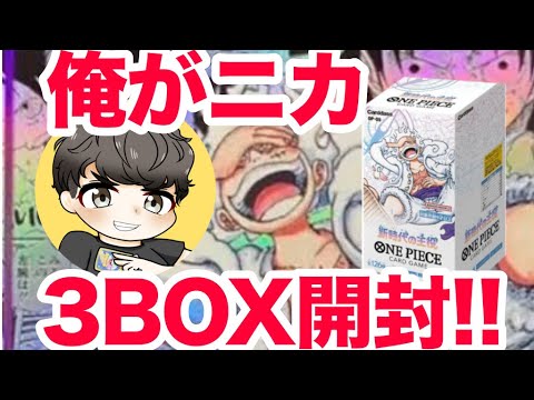 【ワンピ】はいどうもニカルフィですwwwwwwww