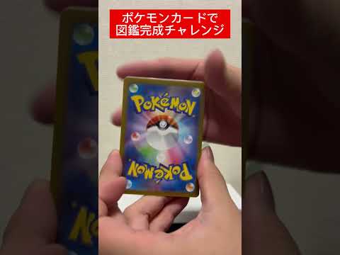 ポケカ図鑑完成チャレンジ507日目   カード  開封  開封