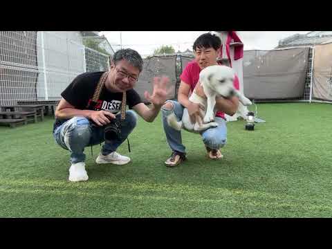 ベルスーたちの生写真撮影大会生配信ライブ