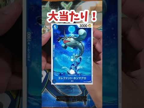 【ワンピ】トレカラフテルさんのホンマグロオリパ1パックチャレンジ！【オリパ】