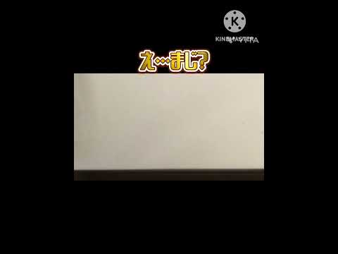 友達からもらったオリパ開封してみた！　Arc  もやしニキ