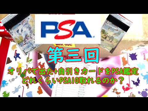 【ポケカPSA】【第三回】自引vsオリパどちらがPSA10をより多くとれるのか調査