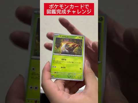 ポケカ図鑑完成チャレンジ563日目   カード  開封  開封