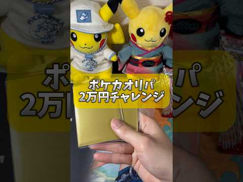 【神回】ポケカオリパ20000万分買ったらえげつない引きをしたwww