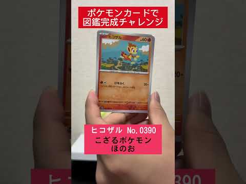 ポケカ図鑑完成チャレンジ580日目   カード  開封  開封