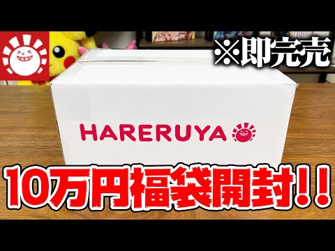 【開封】『超有名店』のポケカ『10万円福袋』を半年間放置してから開封した結果・・・【晴れる屋2】