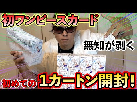 【ワンピース】無知な男のワンピースカートン開封！何も知らないからこそ面白い！