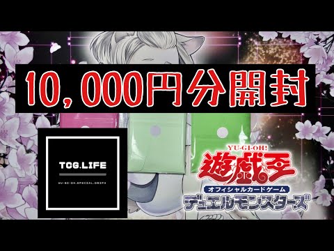 【遊戯王】久しぶりにBASEでオリパ買いました！【オリパ開封】＃17