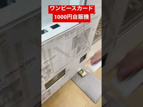 ワンピースカード1000円ガチャ    カード