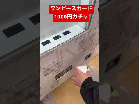 ワンピースカード1000円ガチャ　     カード 開封