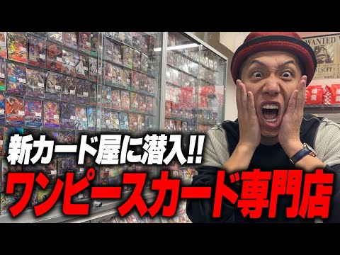 【潜入】遂に登場!! 秋葉原にOPENしたワンピカード専門店に行ってみた！