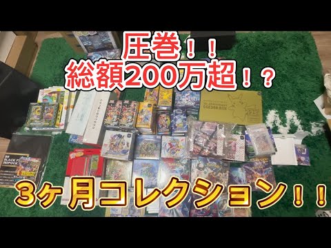 【ポケカ】3ヶ月で集めたコレクションを計算してみたらすごい金額になった！！