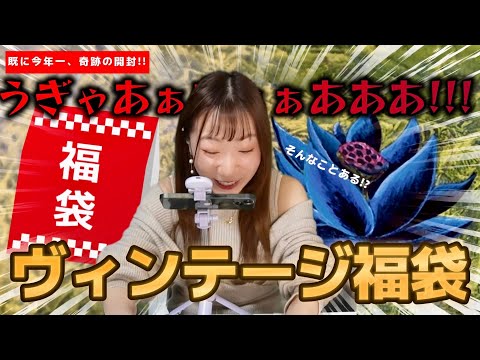 【福袋】奇跡！ヴィンテージの福袋を開封したらまさかの金額２倍になった【MTG】