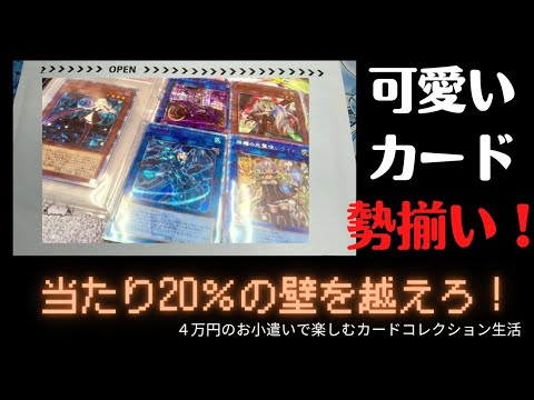 【遊戯王】人気の可愛いカードが勢揃いのオリパ！当たり確率20％の壁を越えろ！