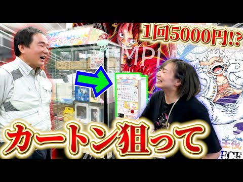 【ワンピカード】”新時代の主役”1カートンが当たる5000円ガチャを大量に回したら…?!?!【遊楽舎 店長】