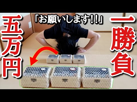 【SDBH宝箱】100箱の中から5箱のみが『15万円相当』の宝箱オリパを上限まで購入したら一発大逆転の超ヤバい箱が降臨した！？【ドラゴンボールヒーローズ オリパ開封】