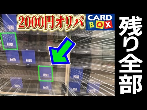 【全購入】半年前に買った売れ残りオリパを開封したらまさかの！？