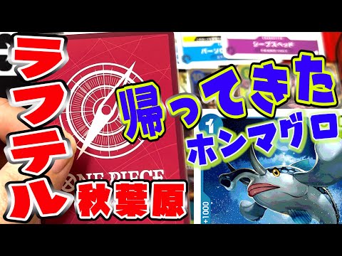 【ワンピース】おかえり～ホンマグロオリパ!!