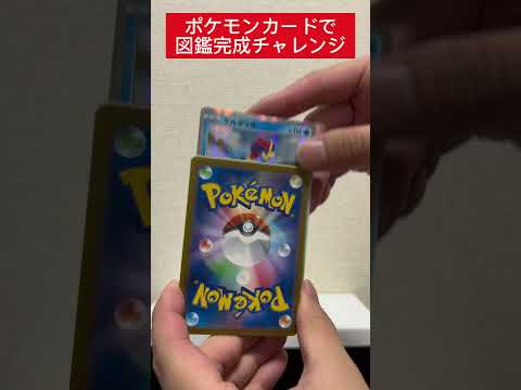 ポケカ図鑑完成チャレンジ567日目   カード  開封  開封