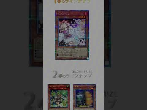 【オリパ】【ネットオリパ】【遊戯王】遊戯王マイルドガチャ