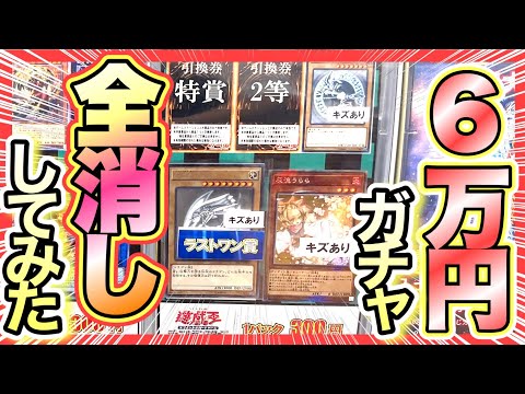 【遊戯王 高騰】オリパガチャを全消し開封！当たりは枯らしたら出るのか⁉︎ (25th 高騰 暴落)