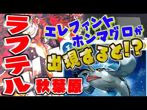 【ラフテル】秋葉原ラフテル！オリパ開封!!