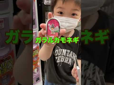 【メザスタ】オリパガチャスーパースターあたるかな！？