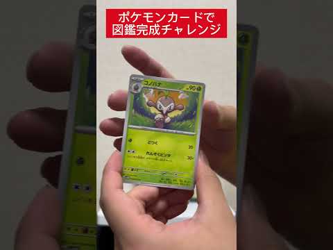 ポケカ図鑑完成チャレンジ562日目   カード  開封  開封