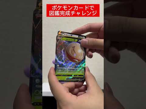 ポケカ図鑑完成チャレンジ536日目   カード  開封  開封