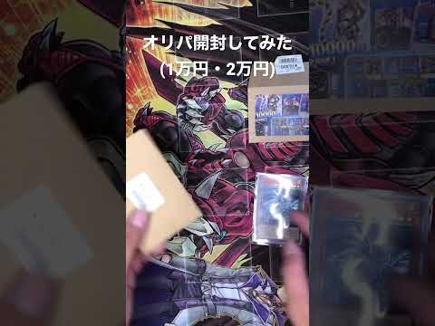 パック開封してみた