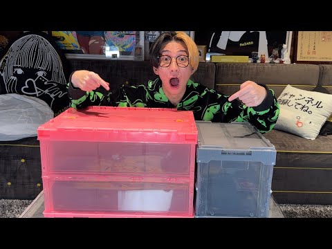 鑑定に出したポケカが返ってきたので10点満点が何枚出るか開封してみた